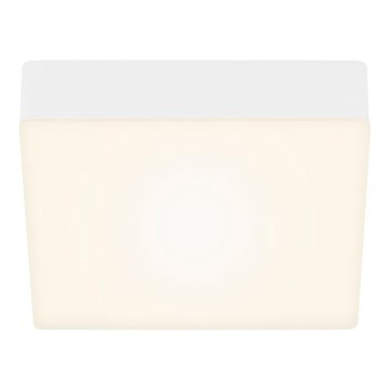 Briloner 7069-016 - LED Stropna svjetiljka LED/11W/230V bijela