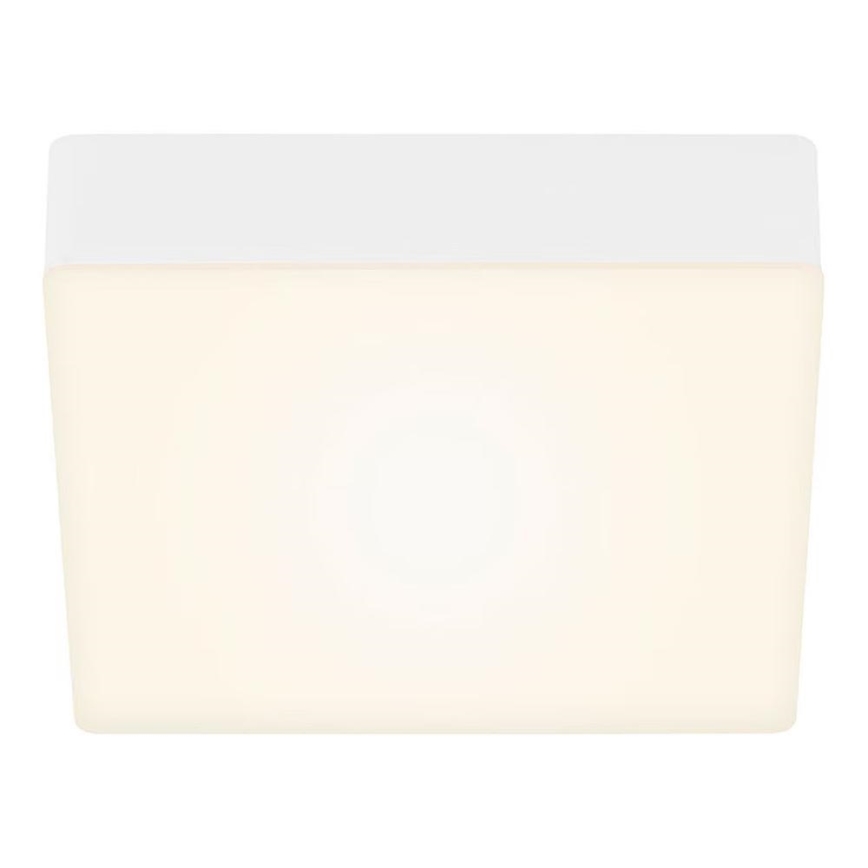Briloner 7069-016 - LED Stropna svjetiljka LED/11W/230V bijela