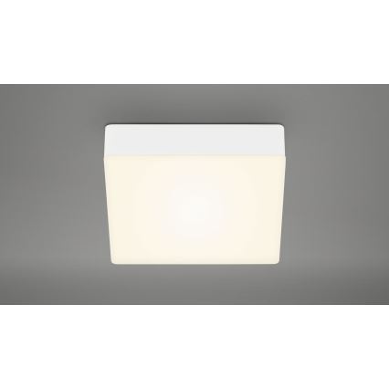 Briloner 7069-016 - LED Stropna svjetiljka LED/11W/230V bijela