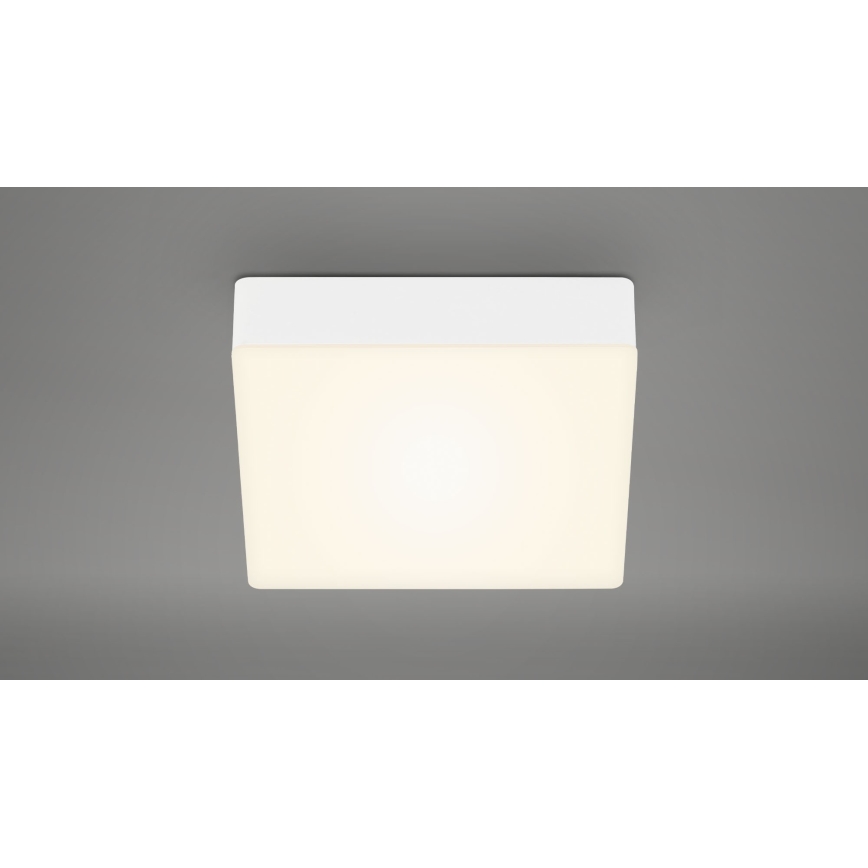 Briloner 7069-016 - LED Stropna svjetiljka LED/11W/230V bijela