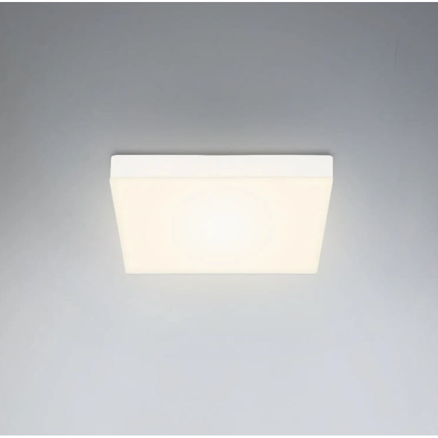 Briloner 7070-016 - LED Stropna svjetiljka FLAME LED/16W/230V bijela