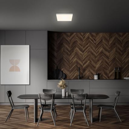 Briloner 7071-014 - LED Stropna svjetiljka FLAME LED/21W/230V 3000K 28,7x28,7 cm srebrna