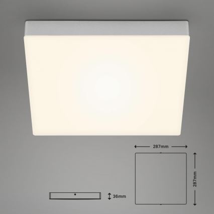 Briloner 7071-014 - LED Stropna svjetiljka FLAME LED/21W/230V 3000K 28,7x28,7 cm srebrna