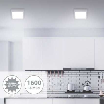Briloner 7118-414 - LED Stropna svjetiljka FIRE LED/16,5W/230V 4000K