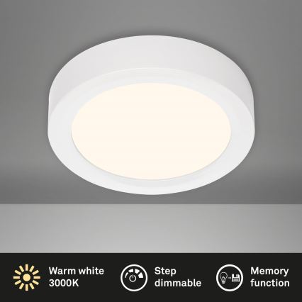 Briloner 7124-016 - LED Prigušiva stropna svjetiljka FIRE LED/12W/230V 3000K
