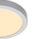 Briloner 7132-014 - LED Stropna svjetiljka za kupaonicu FIRE LED/21W/230V 3000K IP44