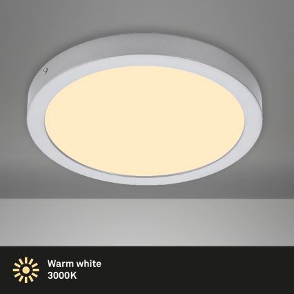 Briloner 7132-014 - LED Stropna svjetiljka za kupaonicu FIRE LED/21W/230V 3000K IP44