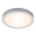 Briloner 7141-014 - LED Stropna svjetiljka FIRE LED/21W/230V 3000K