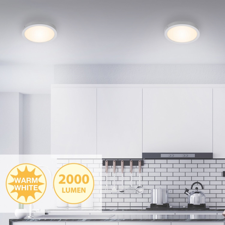Briloner 7141-014 - LED Stropna svjetiljka FIRE LED/21W/230V 3000K