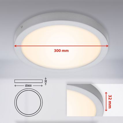 Briloner 7141-014 - LED Stropna svjetiljka FIRE LED/21W/230V 3000K