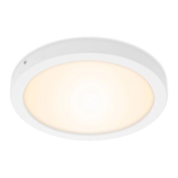 Briloner 7141-016 - LED Stropna svjetiljka FIRE LED/21W/230V