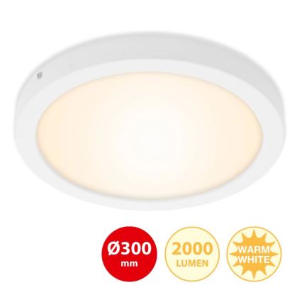 Briloner 7141-016 - LED Stropna svjetiljka FIRE LED/21W/230V