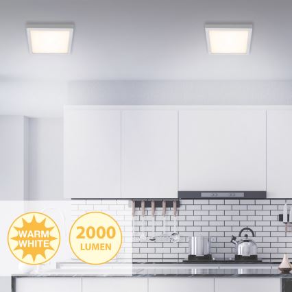 Briloner 7142-014 - LED Stropna svjetiljka FIRE LED/21W/230V 3000K