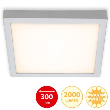 Briloner 7142-014 - LED Stropna svjetiljka FIRE LED/21W/230V 3000K