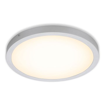 Briloner 7143-014 - LED Stropna svjetiljka FIRE LED/24,5W/230V 3000K