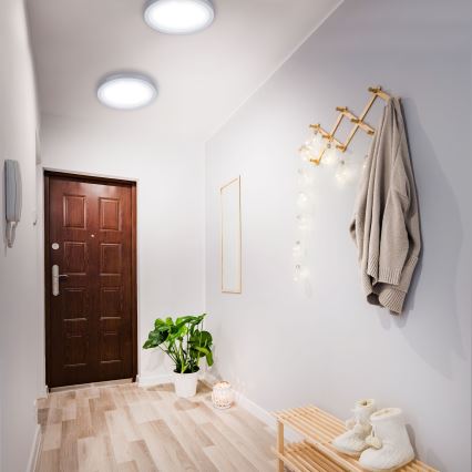 Briloner 7143-414 - LED Stropna svjetiljka FIRE LED/24,5W/230V 4000K