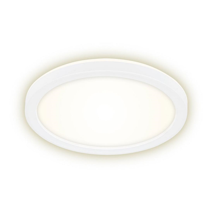 Briloner 7150-416 - LED Stropna svjetiljka SLIM LED/12W/230V pr. 19 cm