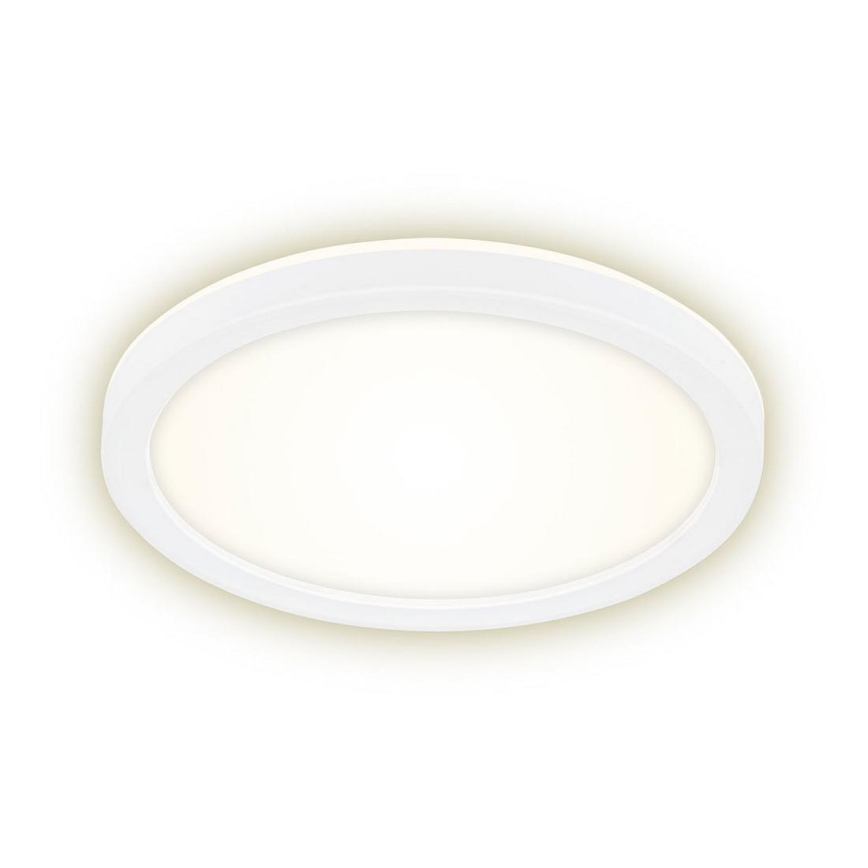 Briloner 7150-416 - LED Stropna svjetiljka SLIM LED/12W/230V pr. 19 cm