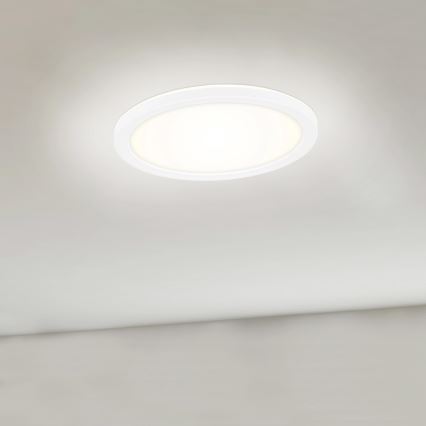 Briloner 7150-416 - LED Stropna svjetiljka SLIM LED/12W/230V pr. 19 cm