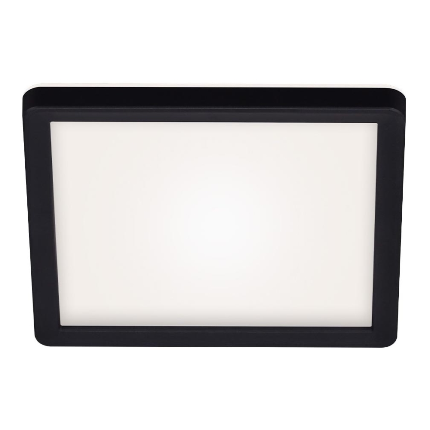 Briloner 7153-415 - LED Stropna svjetiljka SLIM LED/12W/230V 19x19 cm