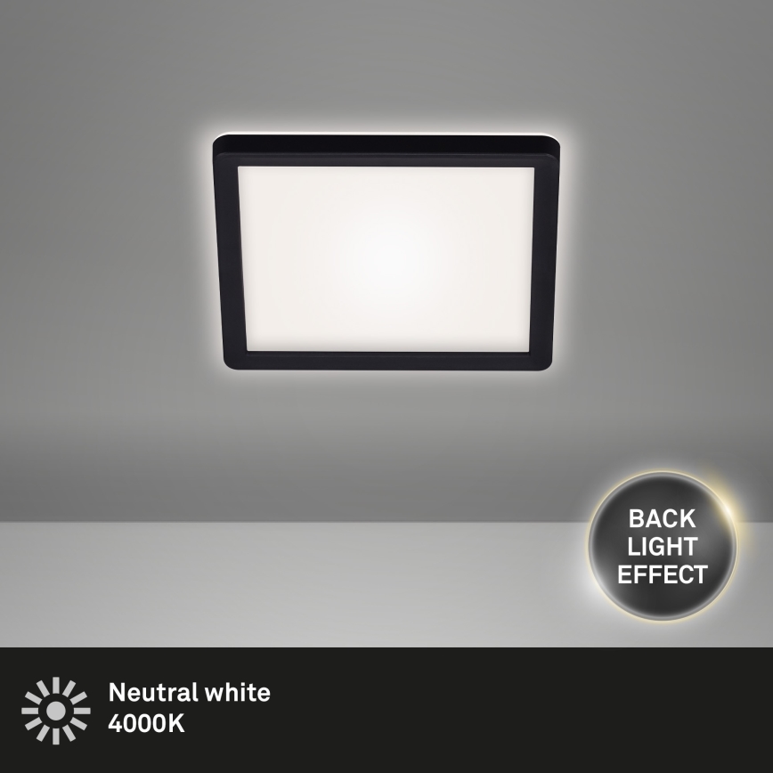 Briloner 7153-415 - LED Stropna svjetiljka SLIM LED/12W/230V 19x19 cm