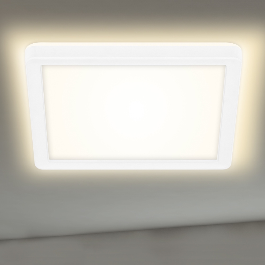 Briloner 7153-416 - LED Stropna svjetiljka SLIM LED/12W/230V