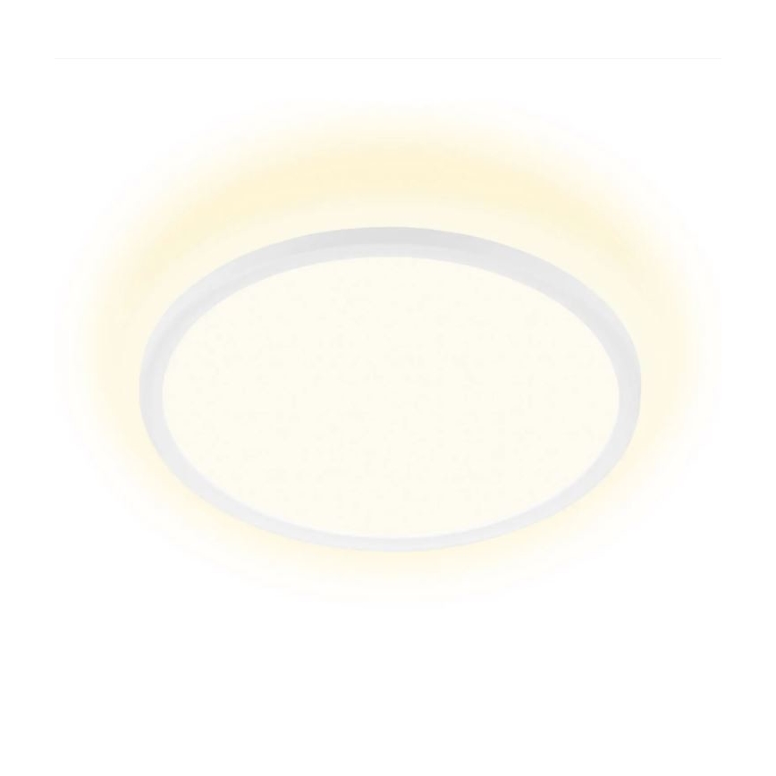 Briloner 7155-416 - LED Stropna svjetiljka SLIM LED/18W/230V