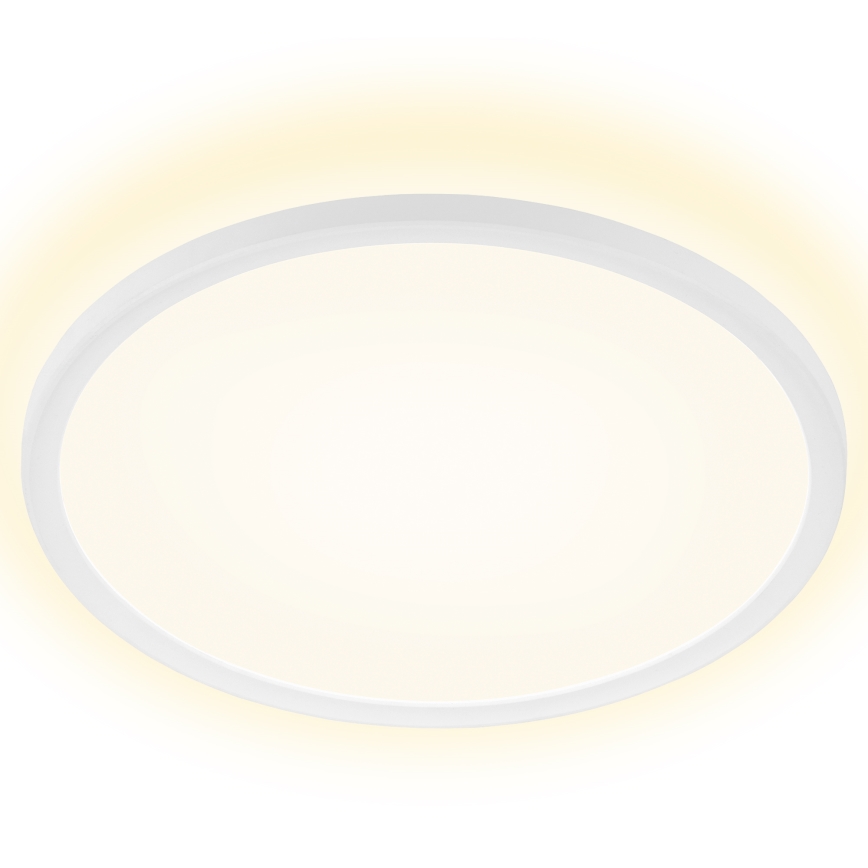 Briloner 7157-416 - LED Stropna svjetiljka SLIM LED/22W/230V pr. 42 cm