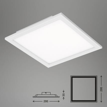 Briloner 7191-016 - LED Stropna svjetiljka SIMPLE LED/12W/230V