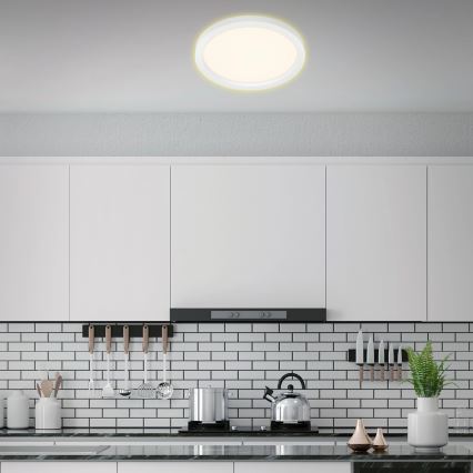 Briloner 7361-016 - LED Stropna svjetiljka CADRE LED/18W/230V pr. 29,7 cm bijela
