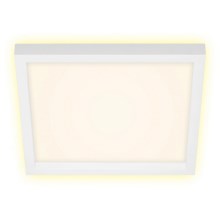 Briloner 7362-016 - LED Stropna svjetiljka CADRE LED/18W/230V 29,6x29,6 cm bijela