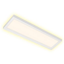 Briloner 7365-016 - LED Stropna svjetiljka CADRE LED/22W/230V 58,2x20,2 cm bijela