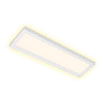 Briloner 7365-016 - LED Stropna svjetiljka CADRE LED/22W/230V 58,2x20,2 cm bijela