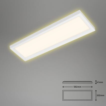 Briloner 7365-016 - LED Stropna svjetiljka CADRE LED/22W/230V 58,2x20,2 cm bijela