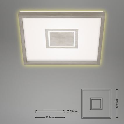 Briloner 7367-112 - LED Stropna svjetiljka GEO LED/22W/230V