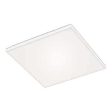 Briloner 7376-116 - LED Stropna svjetiljka FRAMELESS LED/24W/230V