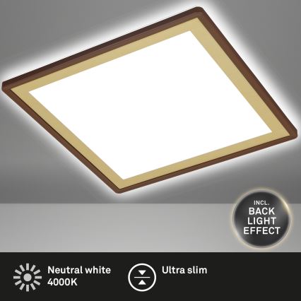 Briloner 7457-417 - LED Stropna svjetiljka DECO LED/18W/230V