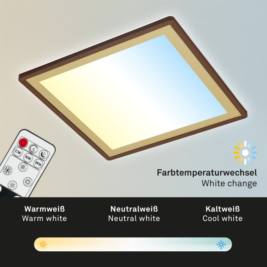 Briloner 7459-417 - LED Prigušiva stropna svjetiljka DECO LED/24W/230V 2700-6500K + daljinski upravljač