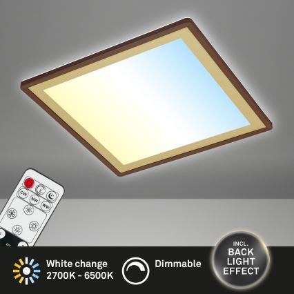 Briloner 7459-417 - LED Prigušiva stropna svjetiljka DECO LED/24W/230V 2700-6500K + daljinski upravljač