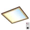 Briloner 7459-417 - LED stropna svjetiljka s prigušivanjem DECO LED/24W/230V 2700-6500K + daljinski upravljač