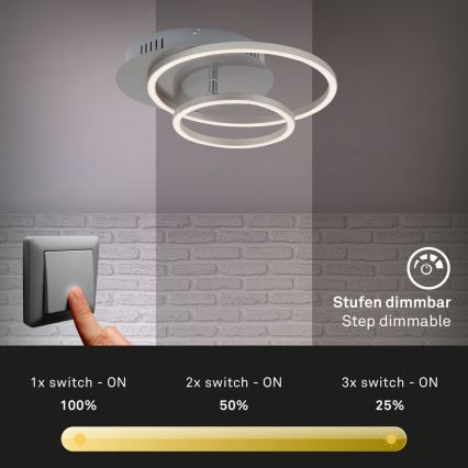 Briloner - LED Prigušiva stropna svjetiljka FRAMES LED/24,5W/230V