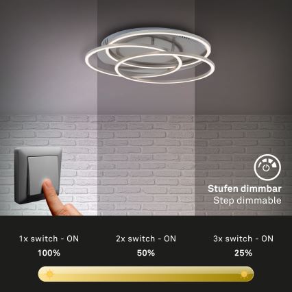 Briloner - LED Prigušiva stropna svjetiljka FRAMES LED/60W/230V mat krom