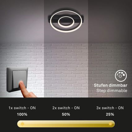 Briloner - LED stropna lampa s mogućnošću prigušivanja FRAME LED/24W/230V