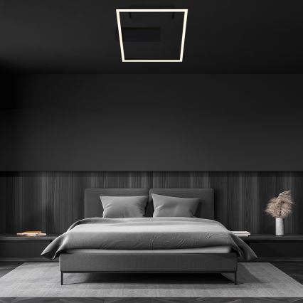 Briloner - LED stropna svjetiljka FRAME LED/14W/230V 3000K 30x32 cm crna