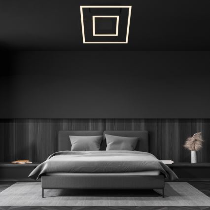 Briloner - LED stropno svjetlo FRAME LED/22W/230V 3000K 30x32 cm crno