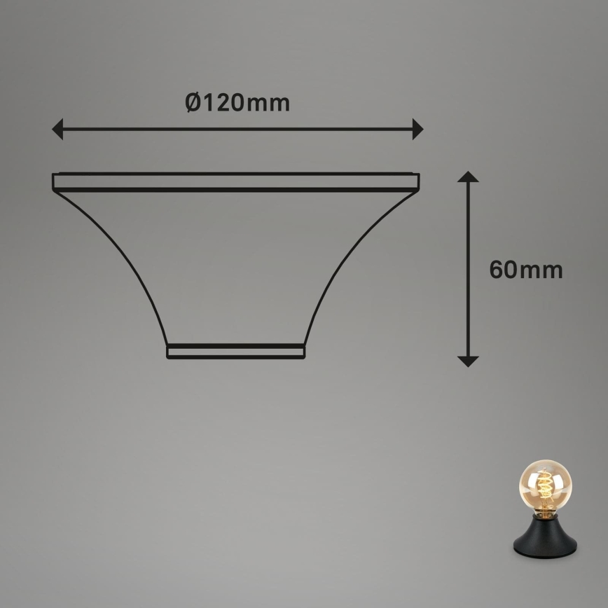 Briloner - Stropna svjetiljka za kupaonicu 1xE27/10W/230V IP44 crna
