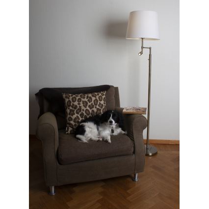 ByRydens - LED Podna lampa ORLANDO 1xE27/5W/230V + LED/3W bijela/bronca pr. 36 cm