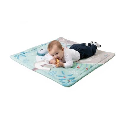 Chicco - Dječja dekica za igru 2u1 sovica