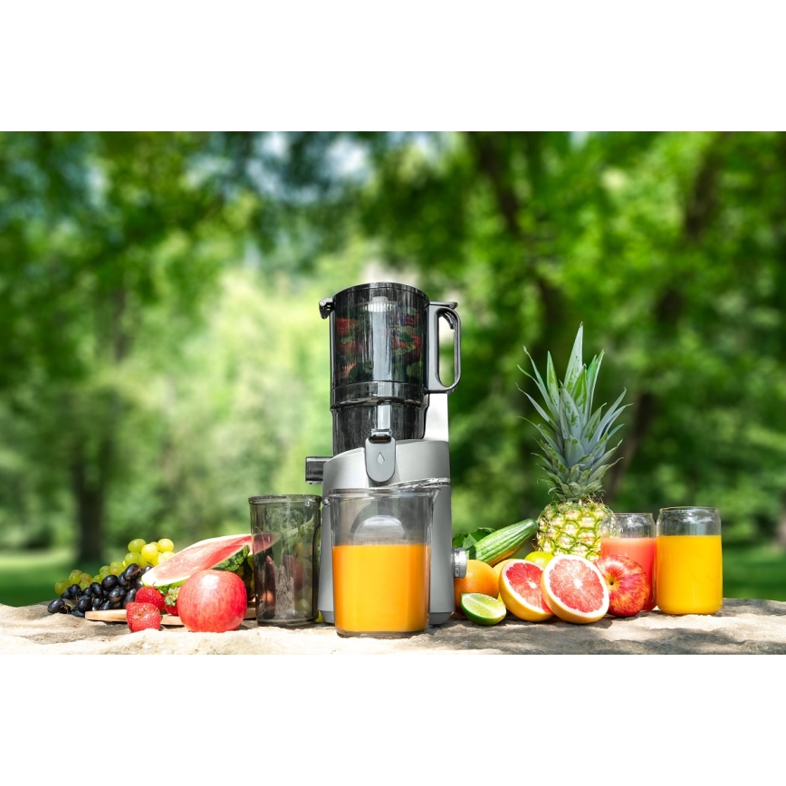 Concept LO7120 - Sokovnik za hladno prešanje JUICY 250W/230V siva