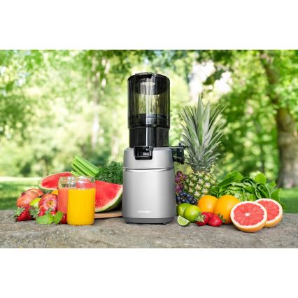 Concept LO7120 - Sokovnik za hladno prešanje JUICY 250W/230V siva